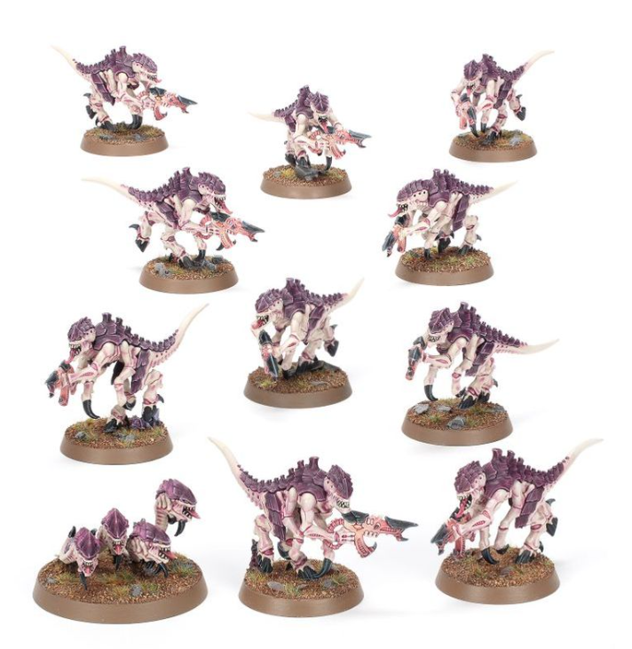 10E Introductory Set (SM & Tyranids) 40-04