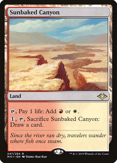 Sunbaked Canyon (247) - NM