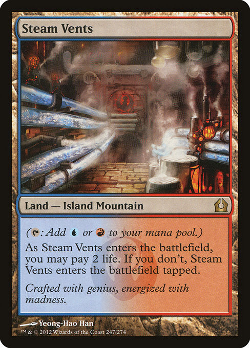 Steam Vents (247) - LP