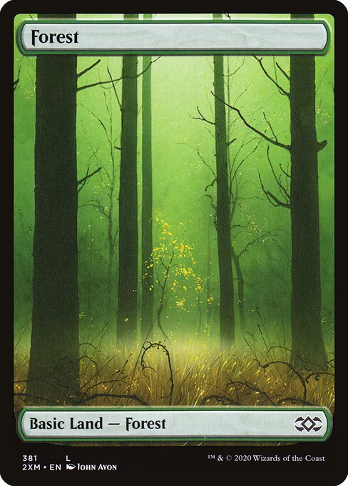 Forest (381) - FULL ART (Foil) - NM
