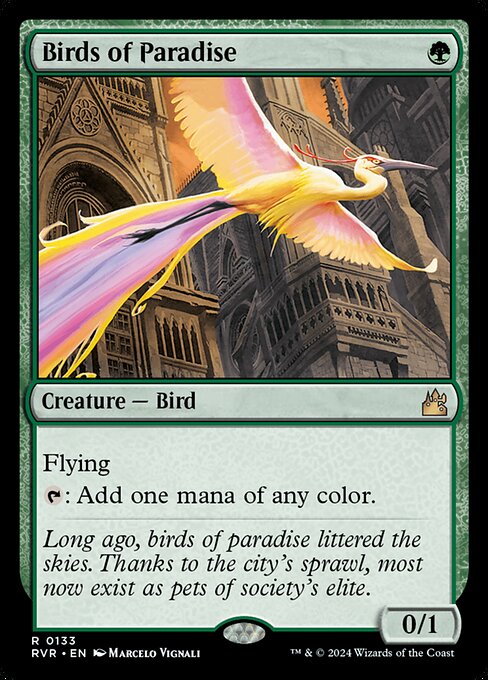 Birds of Paradise (133) (Foil) - NM