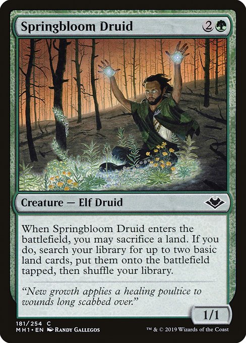 Springbloom Druid (181) (Foil) - NM