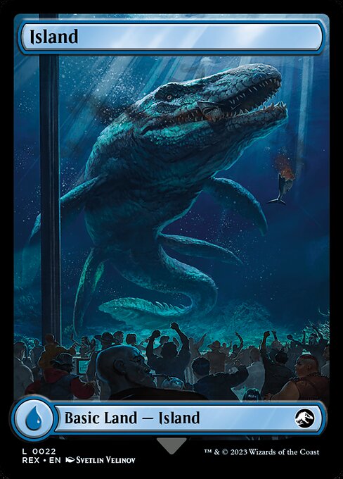 Island // Island (22) - FULL ART (Foil) - NM