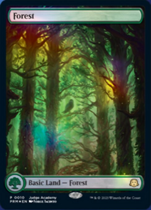 Forest (10) - FULL ART (Foil) - NM