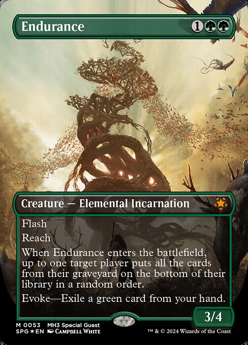 Endurance (53) - BORDERLESS (Foil) - NM